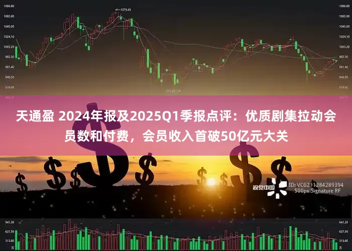 天通盈 2024年报及2025Q1季报点评：优质剧集拉动会员数和付费，会员收入首破50亿元大关