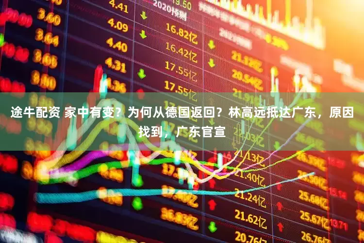 途牛配资 家中有变？为何从德国返回？林高远抵达广东，原因找到，广东官宣