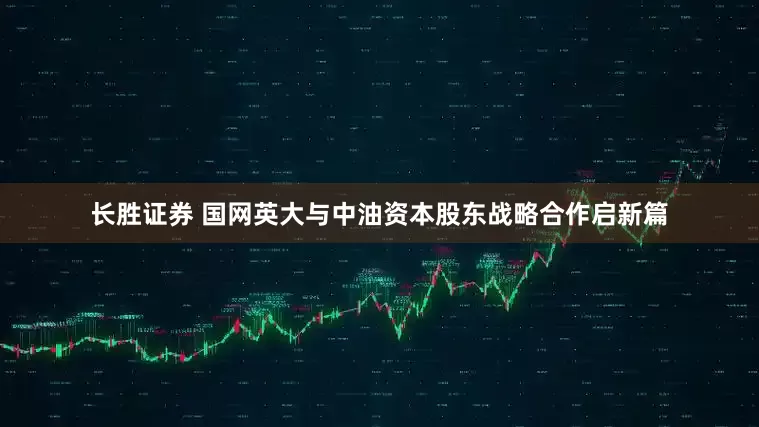长胜证券 国网英大与中油资本股东战略合作启新篇